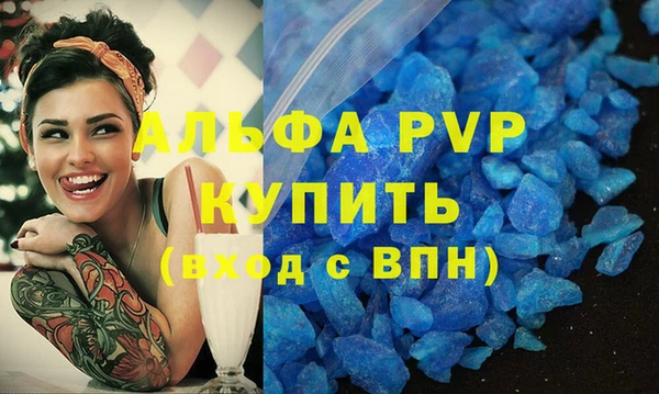 ГАЛЛЮЦИНОГЕННЫЕ ГРИБЫ Ельня