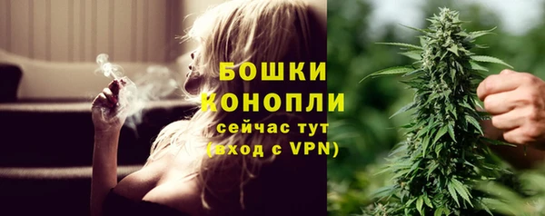 экстази Дмитриев