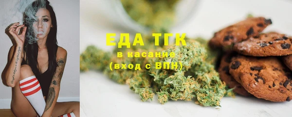 СК Дмитровск