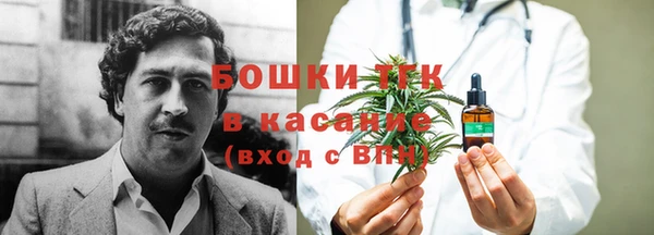 экстази Дмитриев