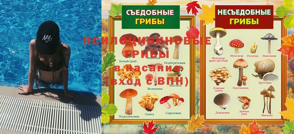 экстази Дмитриев