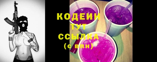 соль ск Дмитров