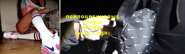 экстази Дмитриев
