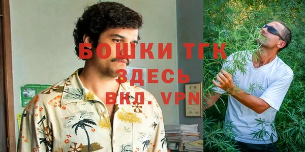 экстази Дмитриев