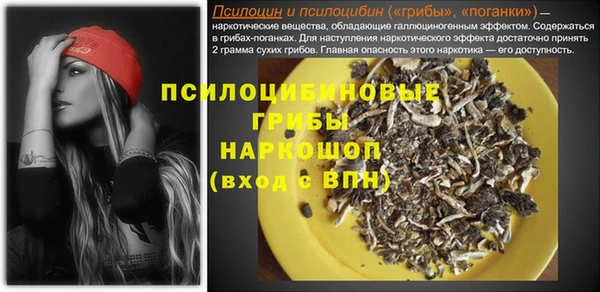 экстази Дмитриев
