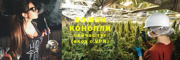 соль ск Дмитров