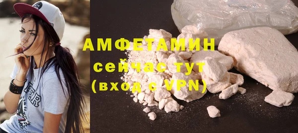 ГАЛЛЮЦИНОГЕННЫЕ ГРИБЫ Ельня