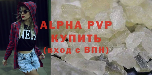 ГАЛЛЮЦИНОГЕННЫЕ ГРИБЫ Ельня