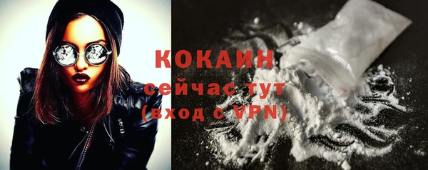 ECSTASY Гусев