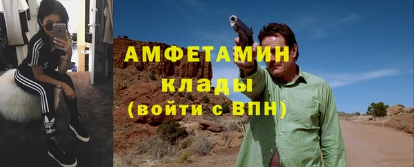 ГАЛЛЮЦИНОГЕННЫЕ ГРИБЫ Ельня