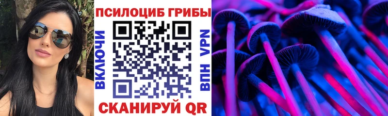 Галлюциногенные грибы Magic Shrooms  Купить  Курчатов 